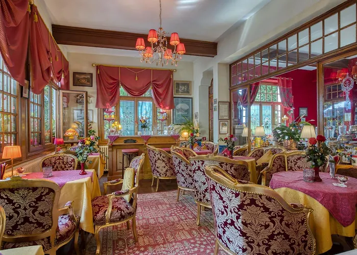 Hotel Les Cygnes Évian-les-Bains
