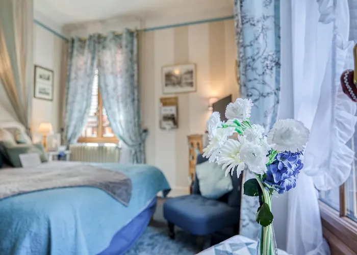 Hotel Les Cygnes Évian-les-Bains