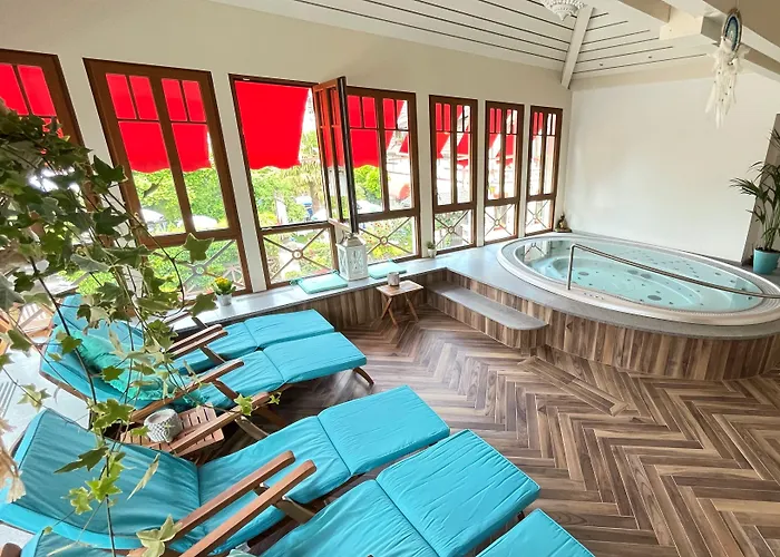 Hotel Les Cygnes
