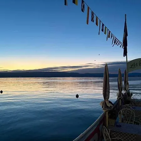 Les Cygnes Evian-les-Bains