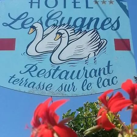 天鹅酒店 酒店